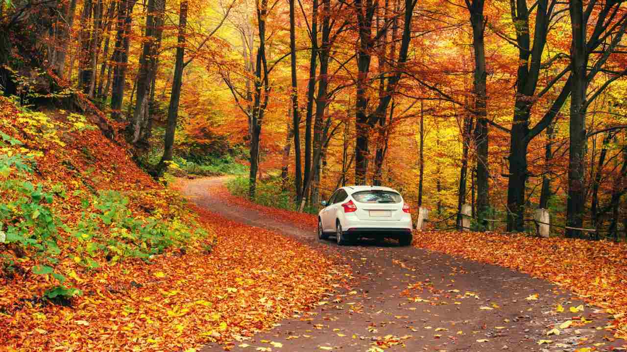 ¿Cómo preparar tu coche para el otoño?