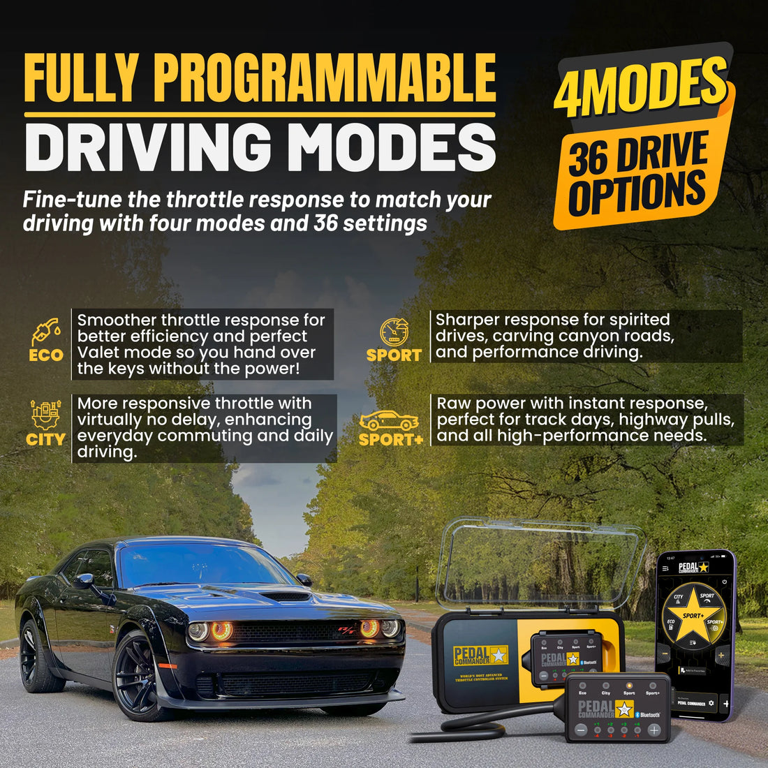 gallery-modes-Dodge-Challenger
