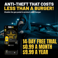 gallery-theft-Dodge-Charger